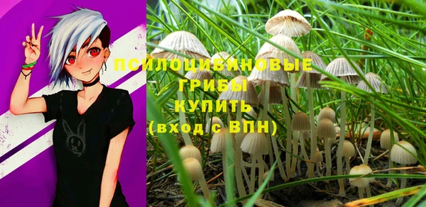 mix Абаза