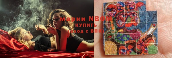 стаф Алексин